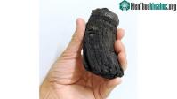 Ảnh Tìm thấy hóa thạch răng khổng lồ của loài bò sát biển cổ đại ở dãy núi Alps
