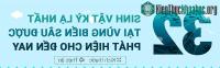 Ảnh Top 32 sinh vật kỳ lạ phía dưới đại dương sâu thẳm