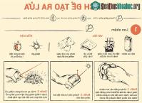 Ảnh Top 10 cách tạo ra lửa để sinh tồn ở nơi hoang dã