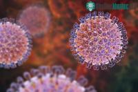 Ảnh Các triệu chứng và các phòng tránh virus Rota: virus gây bệnh cho trẻ em trên toàn thế giới
