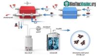 Ảnh Trung Quốc: Phát triển phương pháp tổng hợp thuốc và thức ăn nhân tạo từ CO2