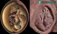 Ảnh Trung Quốc: Tìm thấy phôi thai khủng long mỏ vịt được bảo quản nguyên vẹn trong quả trứng