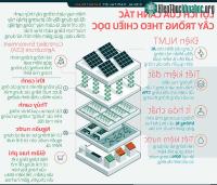 Ảnh Lợi ích của phương pháp canh tác cây trồng theo chiều dọc