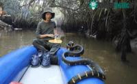 Ảnh Người đàn ông chọc giận con rắn dữ khiến nó bị rơi xuống thuyền, kết cục sẽ ra sao?