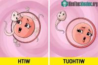 Ảnh Điều gì xảy ra nếu như ăn hành tây mỗi ngày?