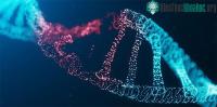 Ảnh Các nhà khoa học công bố bộ gene người hoàn chỉnh đầu tiên