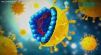 Ảnh Virus đến từ đâu và chúng có phải là loại sinh vật sống hay không?