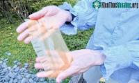 Ảnh Loại giấy mới được tạo từ phấn hoa có thể in và xóa được nhiều lần