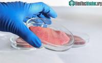 Ảnh Kỳ lạ với cây thuốc lá giúp sản xuất thịt nhân tạo ít tốn kém hơn