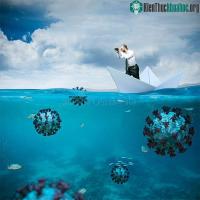 Ảnh Phát hiện hàng nghìn loài virus mới dưới đại dương