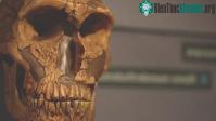 Ảnh Phát hiện mới: Sự tuyệt chủng của người Neanderthal không phải do tổ tiên chúng ta gây ra trong một sớm một chiều!