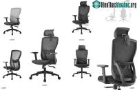 Ảnh Ghế công thái học là gì? Vì sao nó được ưa chuộng nhất hiện nay?
