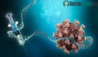 Ảnh Công nghệ mRNA có thể giúp bạn điều trị bệnh đau tim