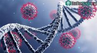 Ảnh Nhiều phát hiện mới đáng lo: Virus đang ngày càng nguy hiểm với loài người