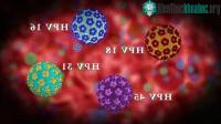 Ảnh Những quan niệm sai lầm về virus HPV khiến dân công sở sợ không dám đi vệ sinh công cộng