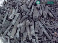 Ảnh Đặt than củi vào lò vi sóng sẽ có điều kỳ diệu xảy ra sau vài ngày!