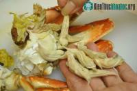Ảnh Chuyên gia đã chỉ ra 3 bộ phận tuyệt đối không nên ăn của cua, cần loại bỏ ngay