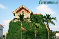 Ảnh Những giải pháp chống nắng, nóng cho nhà ở khu phía Tây