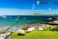 Ảnh Chuyện lạ: Những hòn đảo đẹp như thơ mà phải "nhờ" người ở, chỉ cần xách vali dọn đến sinh sống là đã có ngay 1,5 tỷ đồng