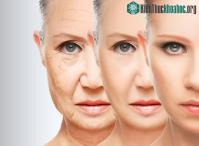 Ảnh Tuổi thọ của con người có thể đạt tới 1.000, chuyên gia: Chìa khóa ở tế bào bất tử này!