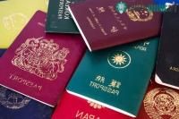 Ảnh Tìm hiểu bí mật đằng sau màu sắc của các tấm hộ chiếu