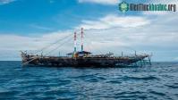 Ảnh Sự thật về Bugis - Những người sống cùng với cá mập khổng lồ