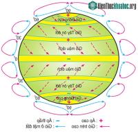 Ảnh Có bao nhiêu đới khí hậu trên Trái đất? Và đất nước của chúng ta nằm trong đới khí hậu nào?