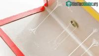 Ảnh Anh cấm sử dụng keo dính chuột vì cách diệt chuột này… vô nhân đạo