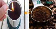 Ảnh Top 7 cách đuổi muỗi tự nhiên vafo mùa hè