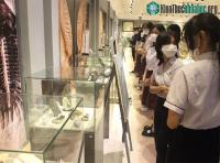 Ảnh Lần đầu tổ chức triển lãm hàng trăm mẫu vật hóa thạch độc đáo tại Festival Huế