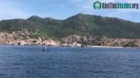 Ảnh Clip: Cá voi đang săn mồi xuất hiện ở Cam Ranh