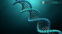 Ảnh Công nghệ DNA mới khiến chúng ta phải "vẽ lại" cây tiến hóa