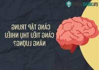 Ảnh Những thắc mắc thường gặp nhất về não bộ con người