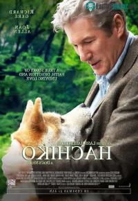 Ảnh Những điều ít người biết về Hachiko - chú chó đứng ở sân ga 10 năm đợi chủ