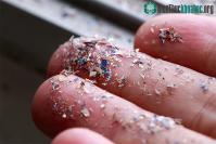Ảnh Tìm thấy được hạt vi nhựa ở nơi không thể ngờ tới
