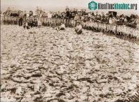 Ảnh Cuộc truy diệt loài thỏ lớn nhất trong lịch sử: Khi virus không còn tiến hóa theo lối mòn