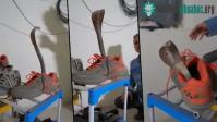Ảnh Chuyên gia bắn một con rắn hổ mang lẩn trốn bên trong chiếc giày thể thao