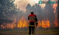 Ảnh Nguyên nhân khiến châu Âu hóa thành "chảo lửa"