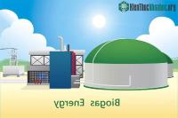 Ảnh Nhật Bản chuẩn bị xây dựng nhà máy điện sử dụng nhiên liệu khí lên men từ phân bò