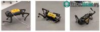 Ảnh Dù không được lập trình trước nhưng con robot này có thể tự học đi!