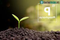 Ảnh "Nguyên tố của sự sống" sắp cạn kiệt: Thế giới đang đứng trước nguy cơ khủng hoảng?