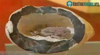 Ảnh Ếch 2 triệu tuổi vẫn sống trong mỏ dầu: Chìa khóa trường sinh của loài người là đây?