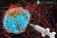 Ảnh Những nhà khoa học Trung Quốc phát triển hydrogel giúp đốt cháy các khối u trong cơ thể