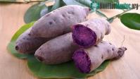 Ảnh Những lợi ích của khoai lang tím mà không phải ai cũng biết