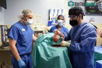 Ảnh Câu hỏi lớn phía sau vụ ghép tim lợn đầu tiên cho người