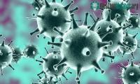 Ảnh Sự nguy hiểm từ sự trỗi dậy của nhiều loại virus mới