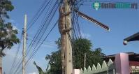 Ảnh Kỳ đà khổng lồ trèo lên cột điện trốn chó dữ