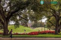 Ảnh Ngọn đồi trong trường đại học là giả, thực hiện nghi lễ bí ẩn và chứa xương cốt