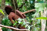 Ảnh Một bộ tộc tuyệt chủng sau khi "người cô độc nhất thế giới" qua đời