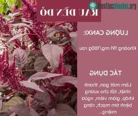 Ảnh Top 5 loại rau giàu canxi hơn sữa, bổ sung hàng ngày phòng ngừa loãng xương